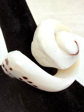 Interesting shell snail beach island chic ring